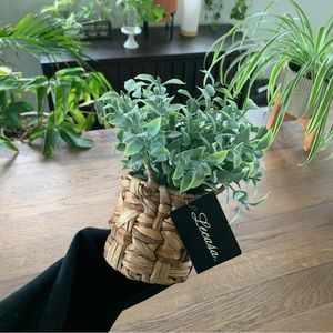 🪴$5/25🪴 Faux Plant in Round Woven Hyacinth Planter Pot